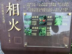 -华农酸奶文化馆