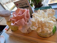 -烹然四季椰子鸡火锅(团结湖总店)