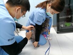-纳吉亚猫专科动物诊疗中心(蒋宅口分院)