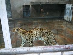 -西安秦岭野生动物园