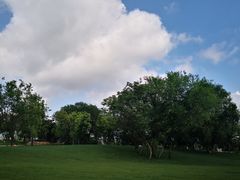 -盘龙城国家考古遗址公园