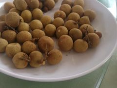 -鼓歌海鲜舫·手抓海鲜(大学城店)