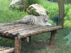 -西安秦岭野生动物园