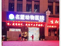 -瑞派名望24h动物医院异宠专科·猫专科·骨科·重症监护分院