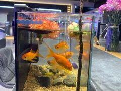 -红星美凯龙(上海沪南店)