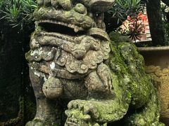 -青城山