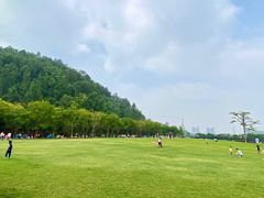 -顺峰山公园