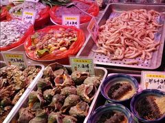 -乔家小院•本地小海鲜•非遗驴肉(万年泉路店)
