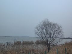 -苏州太湖国家湿地公园