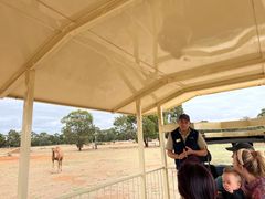 -威勒比开放式动物园