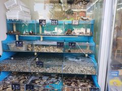 -北戴河庆山饭店·海鲜砂锅粥(北戴河黑石路店)