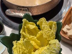 -洪氏嗨捞·猪肚鸡火锅(阳光天地店)