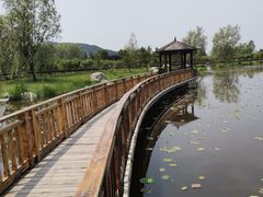 -羊亭河湿地公园