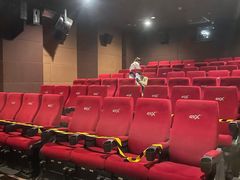 -SFC上影百联影城(八佰伴IMAX店)