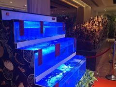 -桃源春晓中餐厅 TaoYuan Restaurant