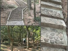 -上海佘山国家森林公园天马山园