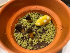 绿森林盆栽蛋糕-海底捞火锅(杭州萧山宝龙广场店)