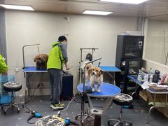 -转角宠物(转塘方家苑店)