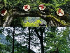 -矮寨·十八洞·德夯大峡谷景区