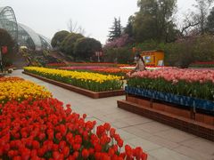 -南山植物园