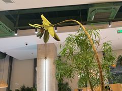 -山缓缓火锅(苏州仁恒仓街店)