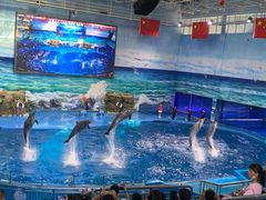 -多彩贵州城极地海洋世界