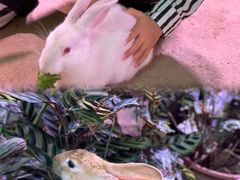 -正佳雨林生态植物园