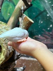 -Zoolung Zoolung动物主题公园(海信广场店)