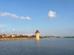 -九龙湖公园