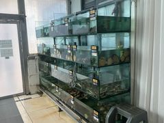 -春妮海味饭店·海景餐厅·海菜包子·大连海鲜