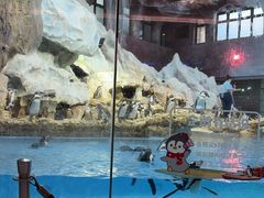 -帝企鹅自助餐厅•儿童岛•真企鹅(长隆企鹅酒店)