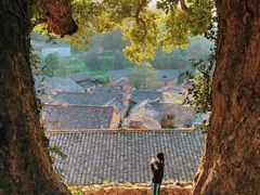 -杨家堂村