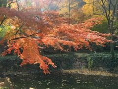 -狼山风景名胜区