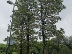 -北京奥林匹克公园