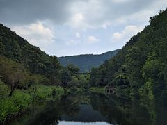 -桃花岭景区