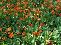 -长春公园(普阳街道)