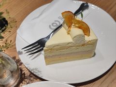-gaga(深圳南山益田假日广场店)