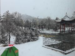 -一盏明灯全素斋(殊像寺店)