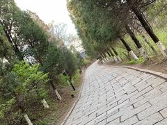 -高尔山公园