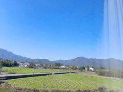 -黄牛肉馆·皖南土菜