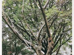 -四川大学(望江校区)