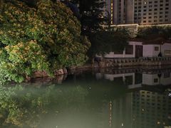 -西苑公园
