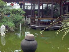 -代木儿回锅肉