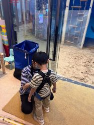 -PIPIKINGDOM皮皮王国欢乐号(欢乐海岸购物中心店)