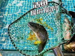 -巧克力渔家.小船海鲜胶东菜(万平口店)