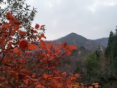 -北京鹫峰国家森林公园