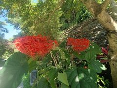 -云溪植物园