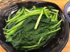 菠菜-金生隆(六铺炕店)