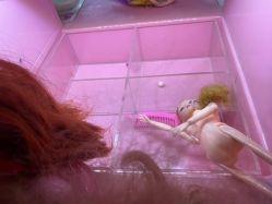 -杰瑞宝贝王乐园(CCMALL时代广场店)