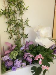 -头道汤头疗养生馆